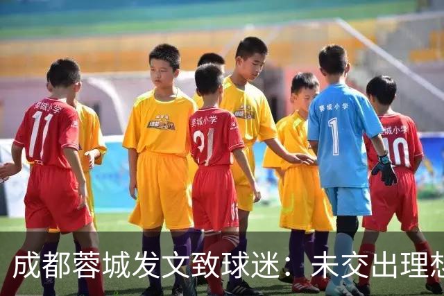 成都蓉城发文致球迷：未交出理想答卷深表歉意，俱乐部深刻反思
